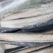 समुद्री भोजन स्पेनिश मैकेरल HGT